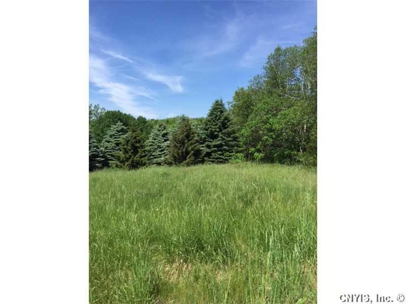 Landscaping. large level area with mature trees