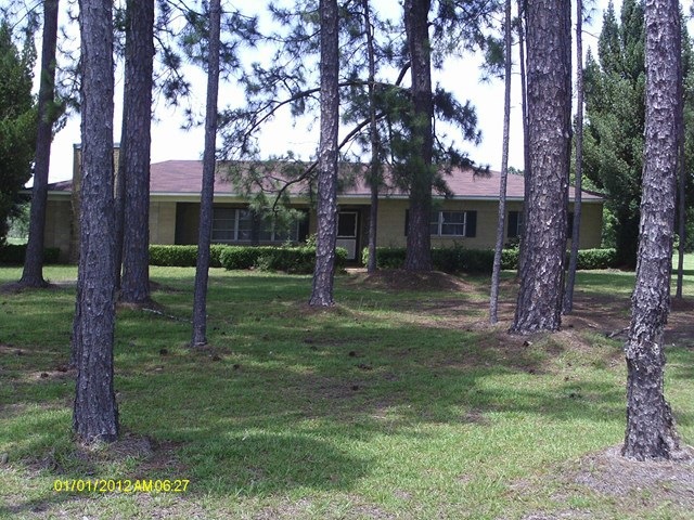 Main View