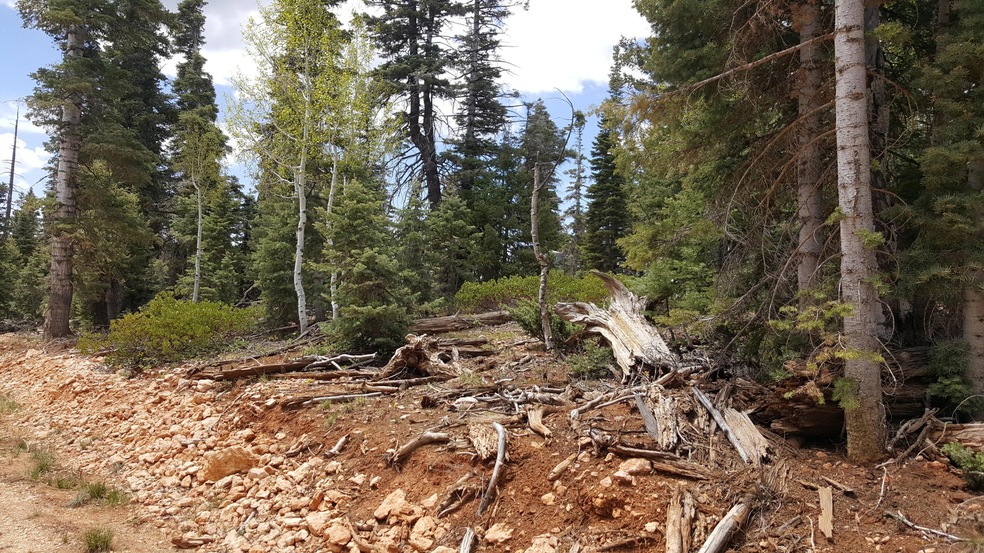 1070 W Cascade Dr unit D-60, Duck Creek Village, UT 84762 - photo 1