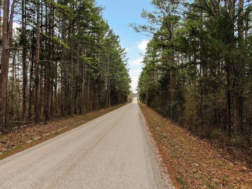 Fossil Cove Rd-11