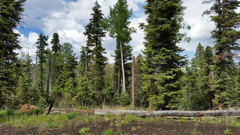 385 S Cascade Dr Zvme E-41, Duck Creek Village, UT 84762 - photo 1