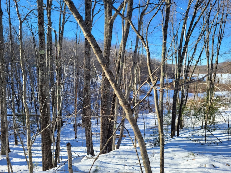 11 Symmes Dr, Newfield, ME 04095 - photo 1