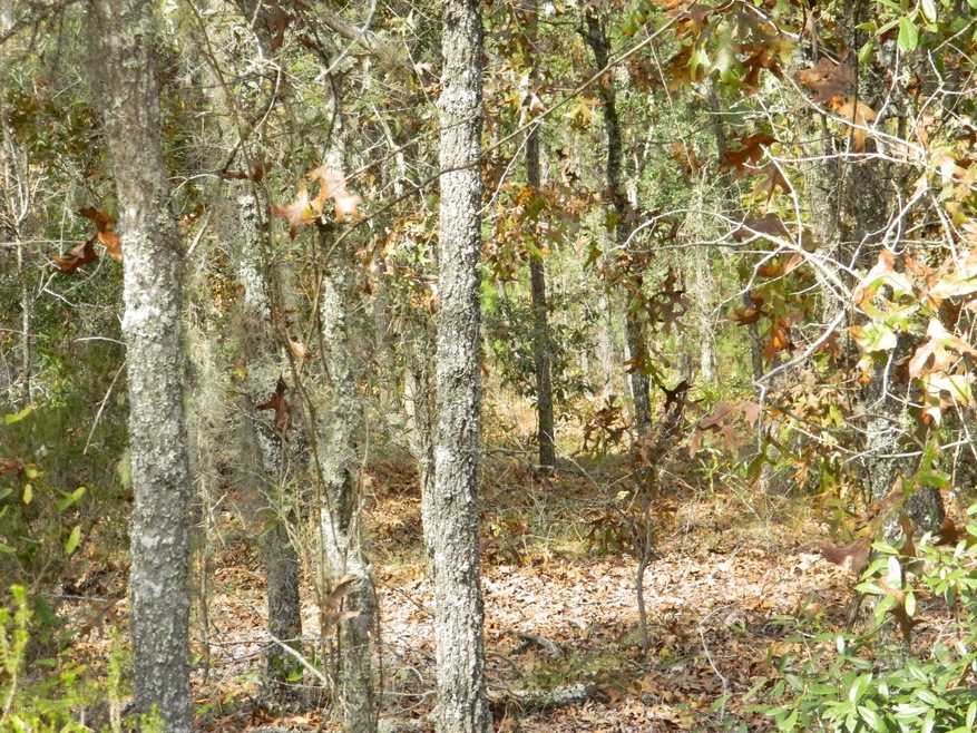 130 Lake Lucy Court (1)