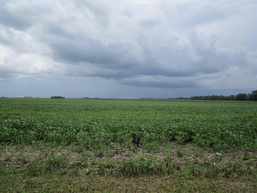 1140 E Cr 600e, Tuscola, IL 61953 - photo 1