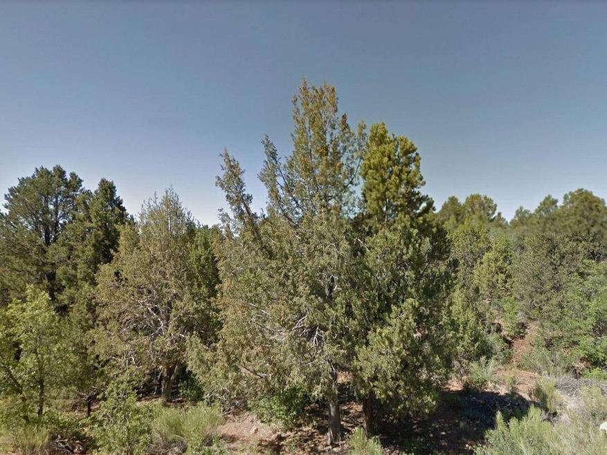 0 Zion Hunting Est Blk 2 Lot 38 unit 102423, Duck Creek Village, UT 84762 - photo 1
