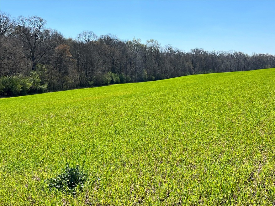 0 Hasty Rd, Marshville, NC 28103 - photo 1