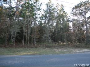 unlisted-address, Citrus Hills, FL 34442 - photo 1