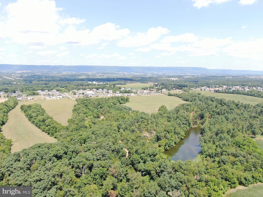 0 34+- Acres Warm Spring Rd unit PAFL2021494, Chambersburg, PA 17202 - photo 1