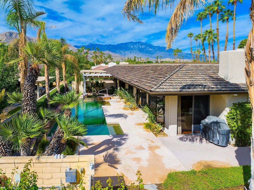 Backyard/Pool