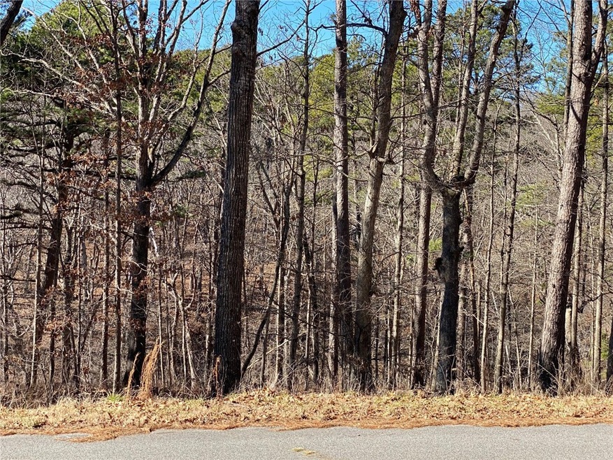 0 Camborne Dr unit 1182063, Bella Vista, AR 72714 - photo 1