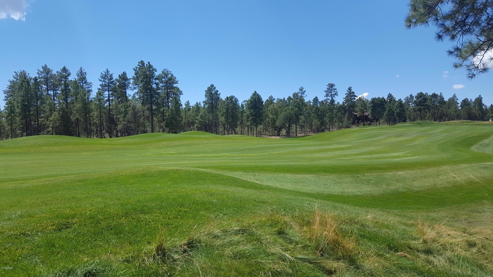 Fairway & Forest!