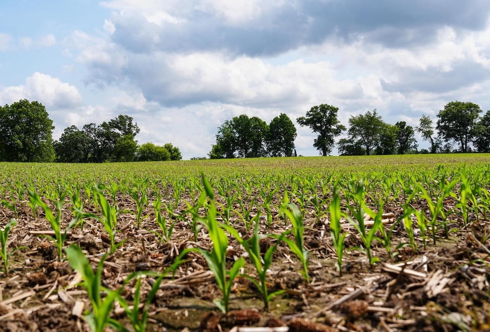 W11851 State Road 16 & 60, Columbus, WI 53925 - photo 1