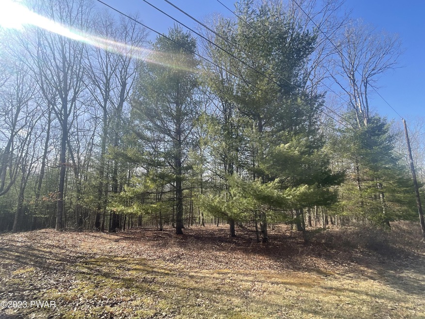 0 Briarcrest Dr, Lackawaxen Township, PA 18428 - photo 1