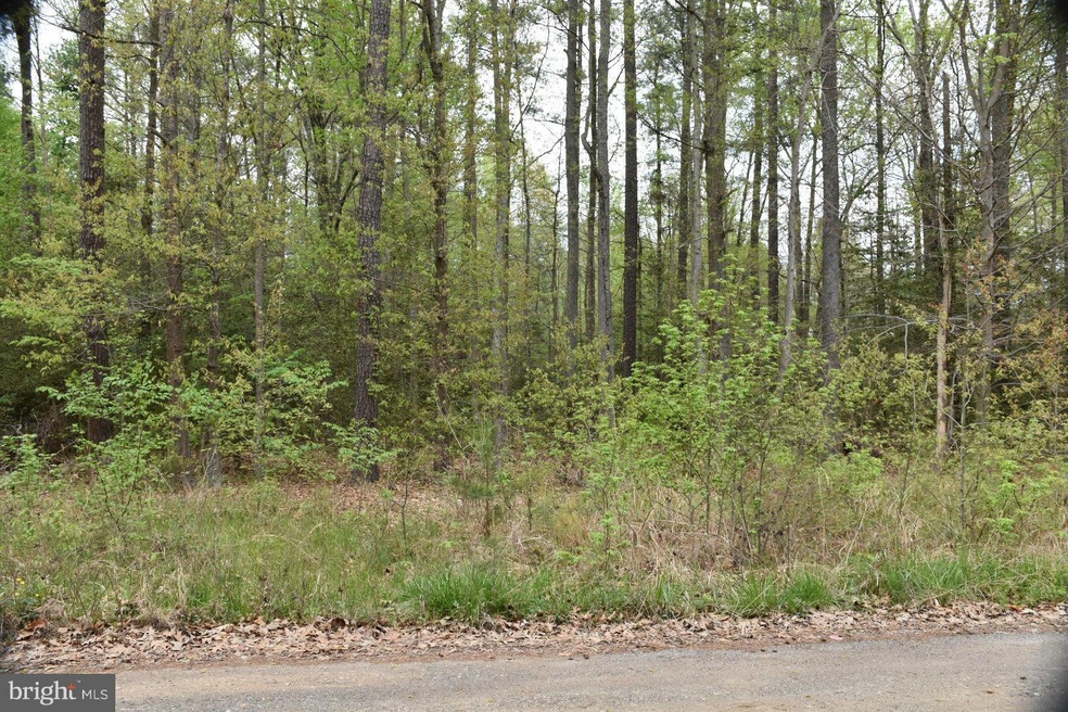 0 Hickory Ln unit 1000026275, Colonial Beach, VA 22443 - photo 1