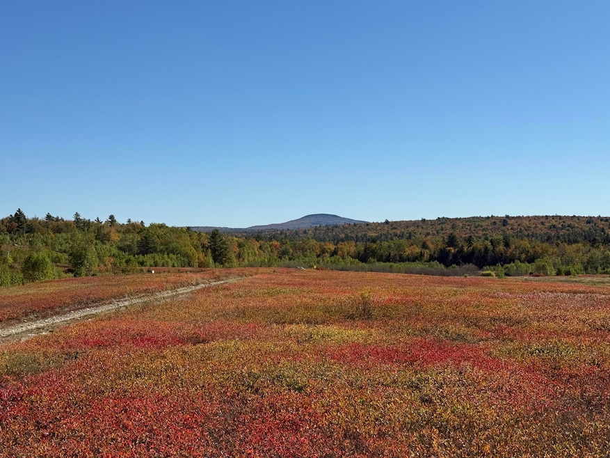 MAP19LOT28 Leach Rd, Penobscot, ME 04476 - photo 1