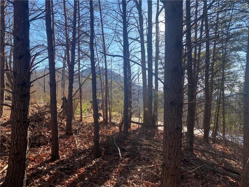 0 Starlight Dr unit 7172382, Sautee Nacoochee, GA 30571 - photo 1