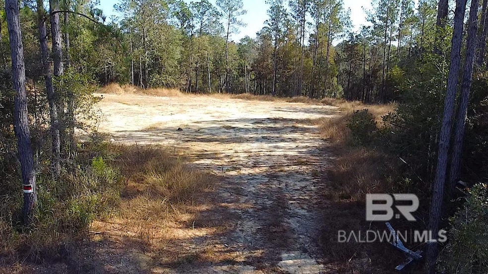 26464 County Road 87 unit BT Ph 2 Lot 2, Robertsdale, AL 36567 - photo 1