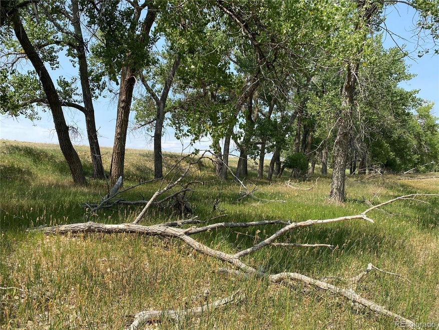 Lot 31 County Rd 142