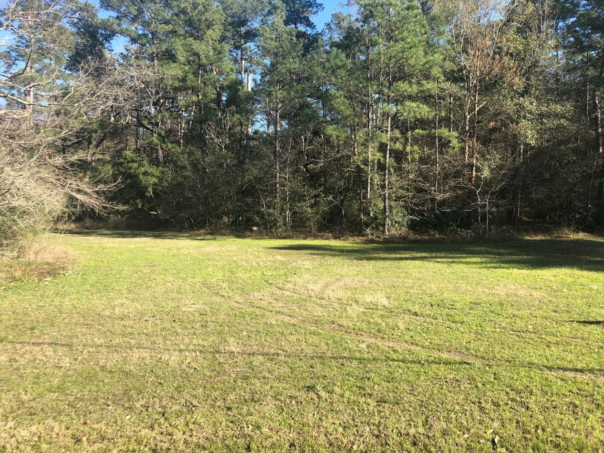 XXX Bob Link, Magnolia, TX 77484 - photo 1