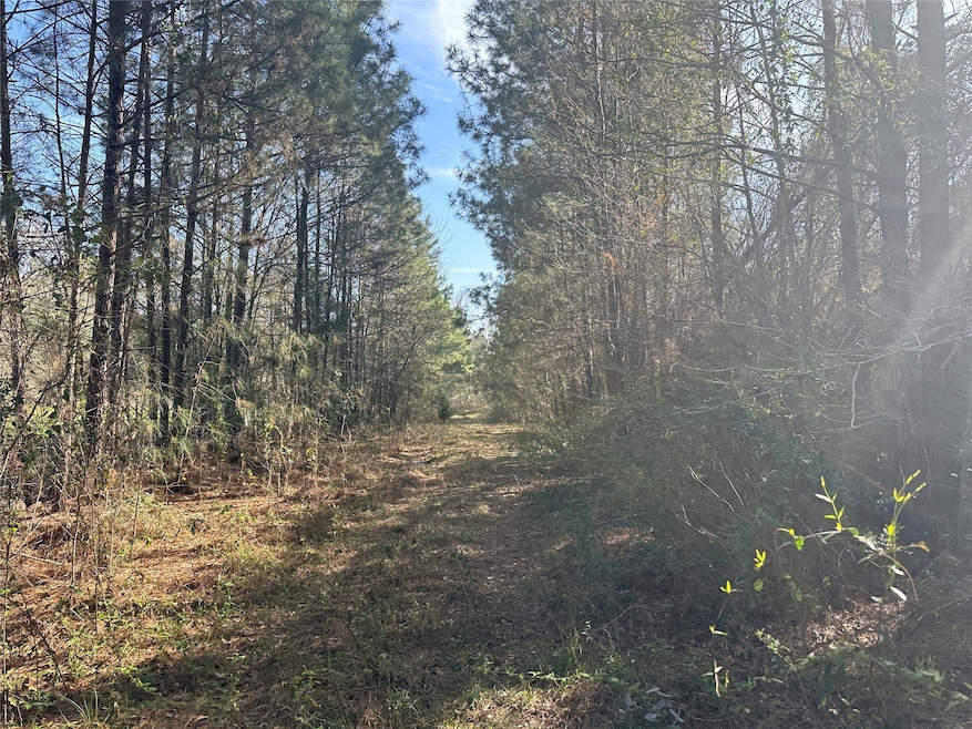 TBD Road 3813, Cleveland, TX 77328 - photo 1