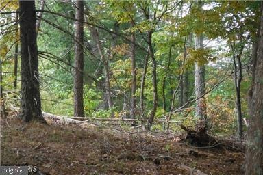 8 Hemlock Ln, Moorefield, WV 26836 - photo 1