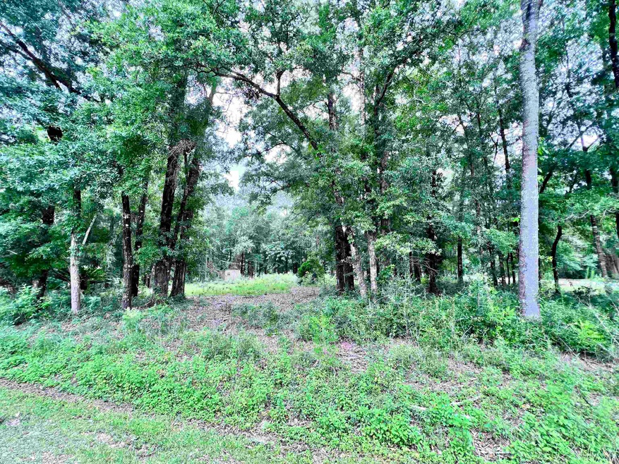 136 Fontaine Cir, Crawfordville, FL 32327 - photo 1