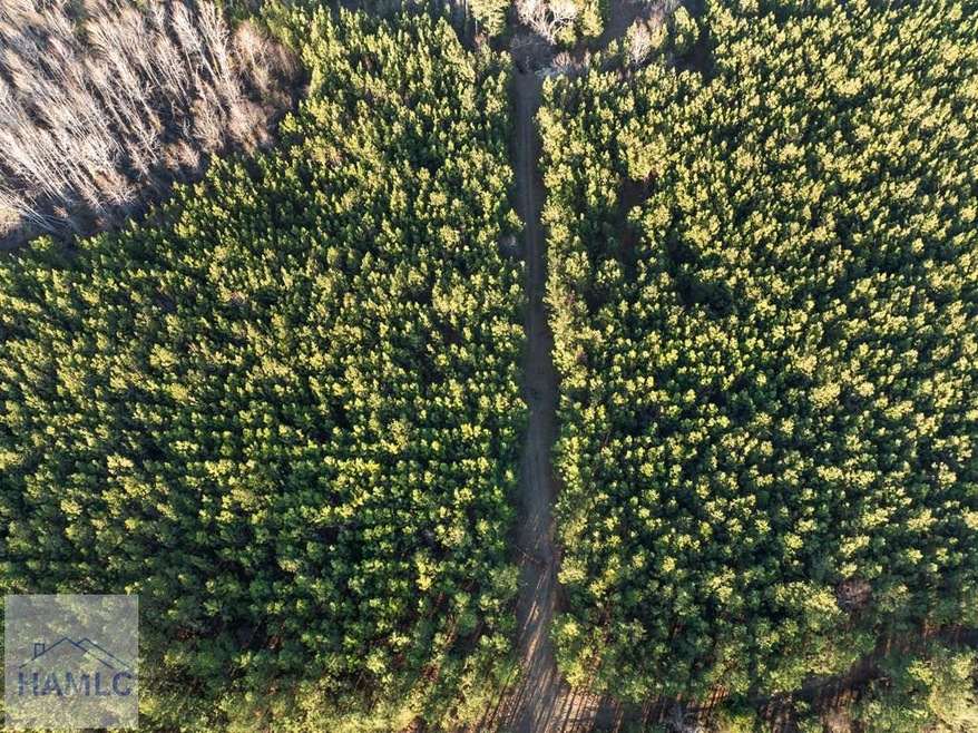 0 Thomas Rd unit 163088, Millen, GA 30442 - photo 1