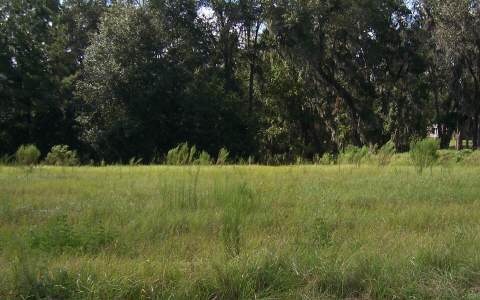 0 Savannah Circle (23) unit 87247, Lake City, FL 32055 - photo 1