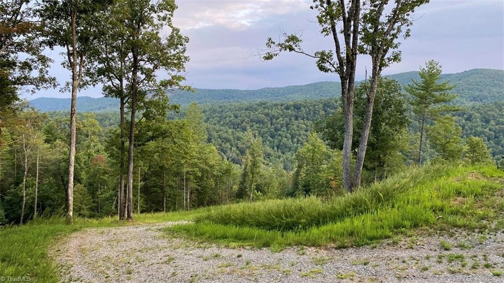 000 Us Highway 421, Purlear, NC 28665 - photo 1