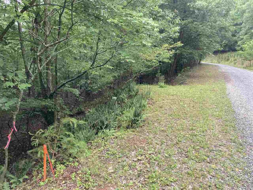 0 Echo Rd unit LT 348 9010978, Morganton, GA 30560 - photo 1