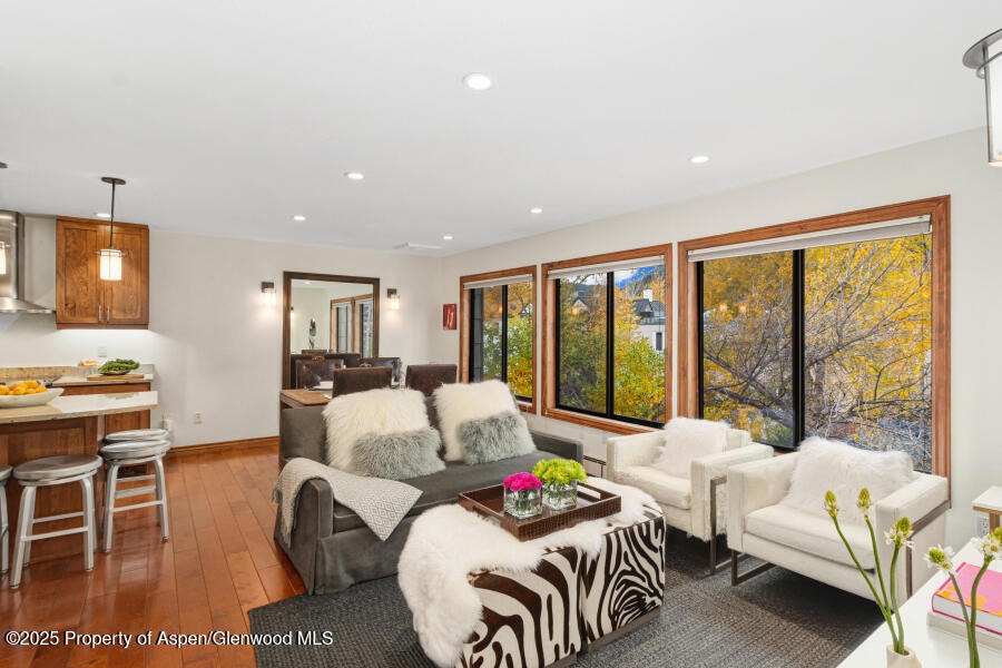 725 E Main St unit 309, Aspen, CO 81611 - photo 1