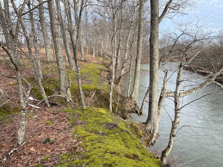 Cr 21 unit lot WP001, Elkins, WV 26241 - photo 1