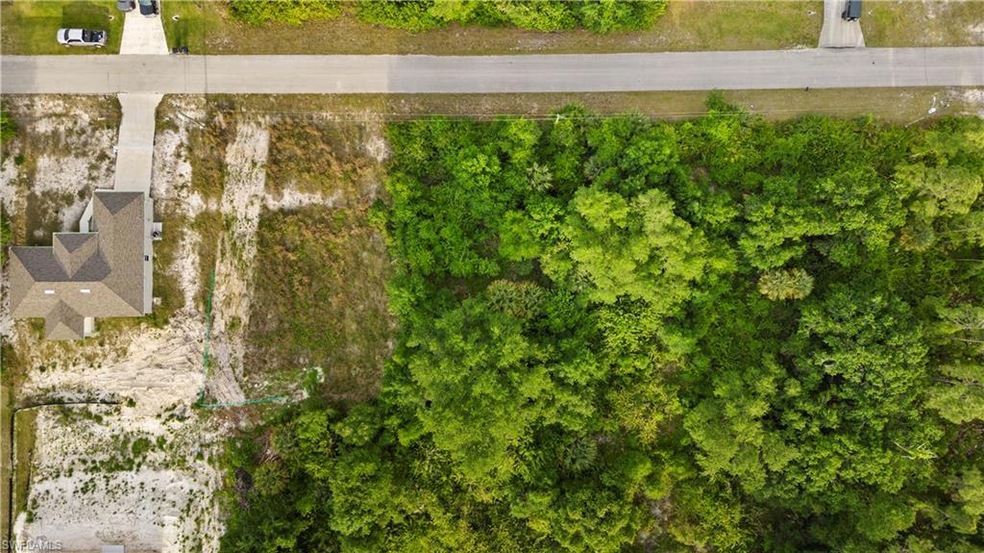 unlisted-address, Alva, FL 33920 - photo 1