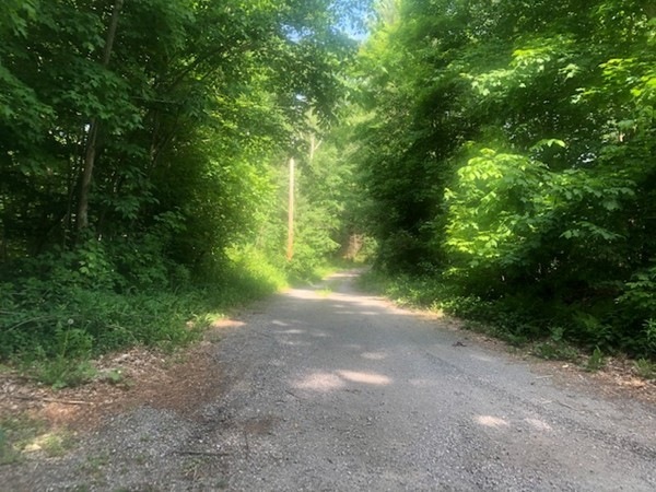 135 School St, Rehoboth, MA 02769 - photo 1