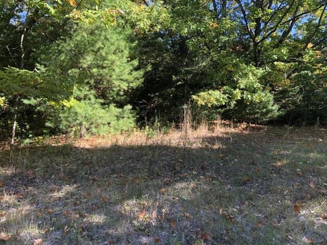 Lots 2 & 3 W Etherington St, MacKinaw City, MI 49701 - photo 1