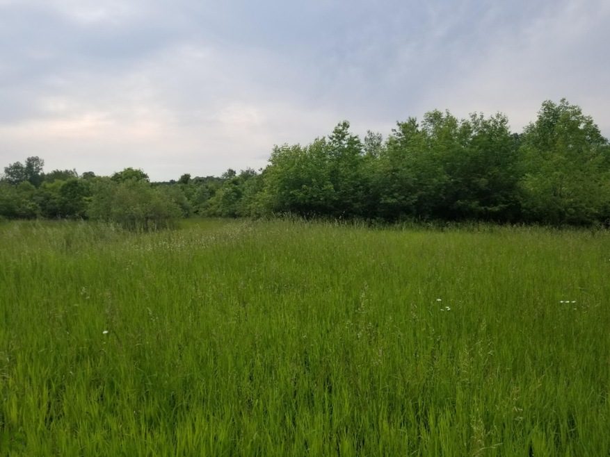 20190612_174622