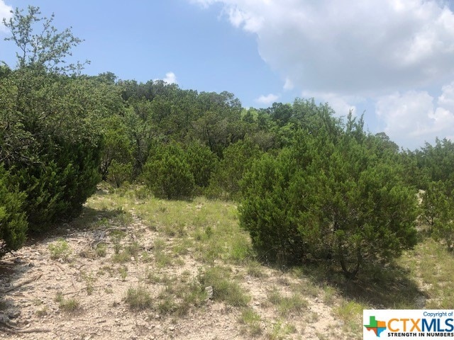 1225 Ritter St, Copperas Cove, TX 76522 - photo 1