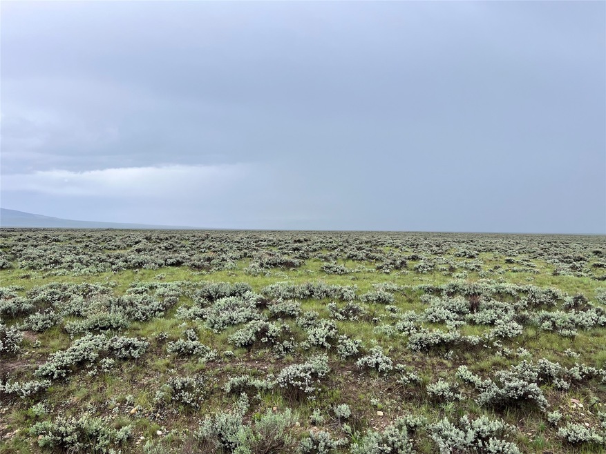 Tract 30 Steel Creek Rd, Wisdom, MT 59761 MLS 30008312