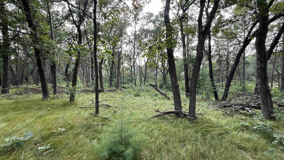 W2047 County Rd N, Lyndon Station, WI 53944 - photo 1