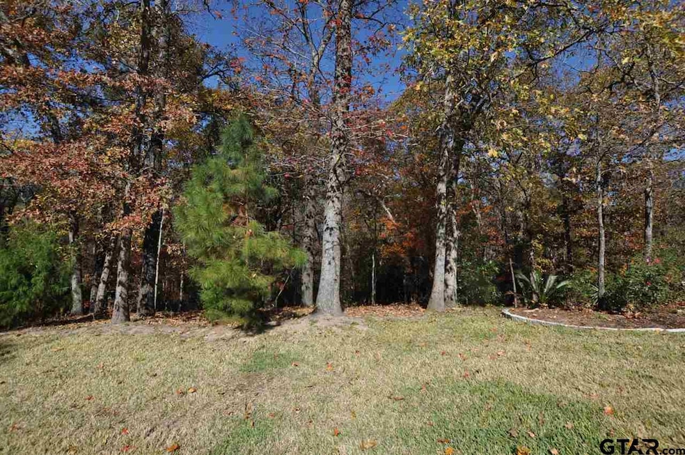 4005 Stonegate Blvd, Tyler, TX 75703 - photo 1