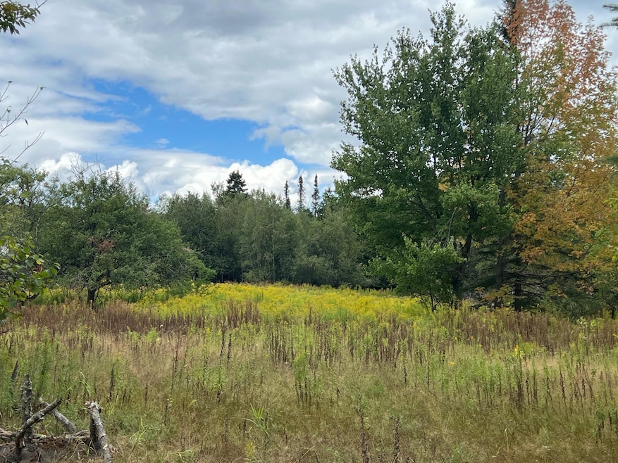 Sold $40,000 • Co-Listing Agent