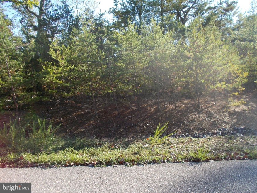 0 Falcon Haven unit VASH2008748, Basye, VA 22810 - photo 1