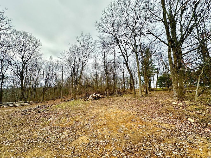 0 Potts Hill Rd unit 198949, Bainbridge, OH 45612 - photo 1