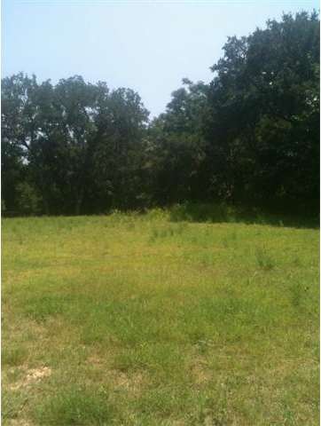 Trees run along the back and right side of the lot