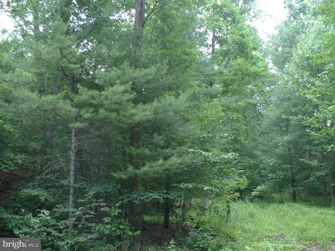 0 Off Cold Springs Rd unit VASH118084, Edinburg, VA 22824 - photo 1