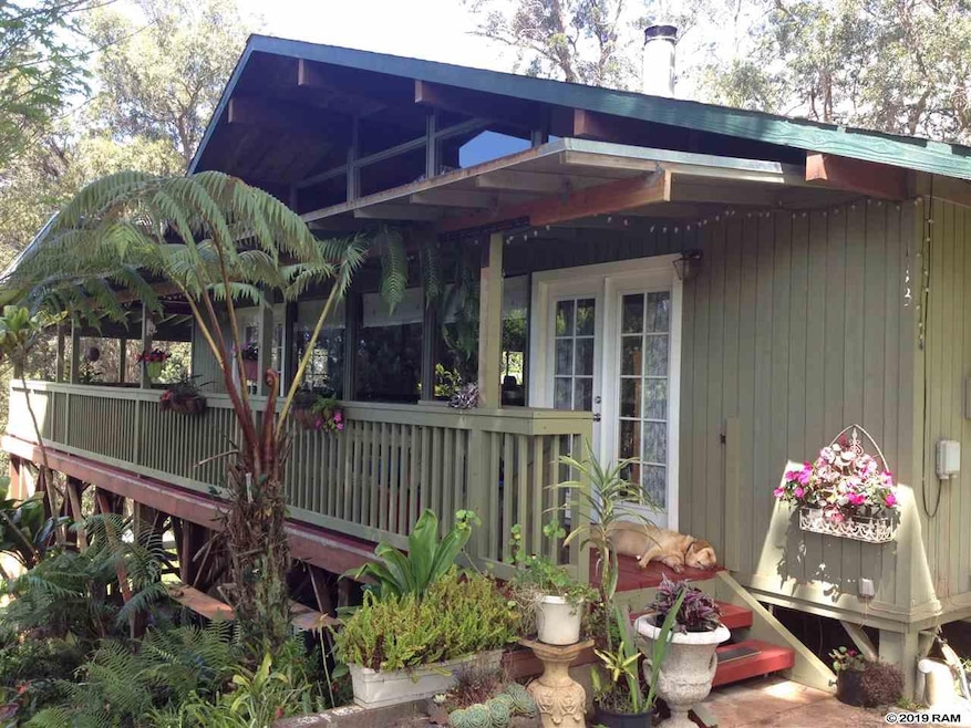 113 Ehu Iki Place, Makawao, HI 96768 - photo 1