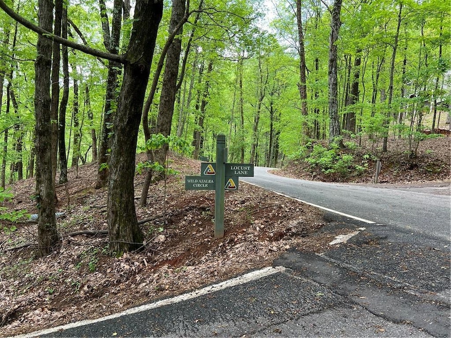 View of asphalt road with a view of trees