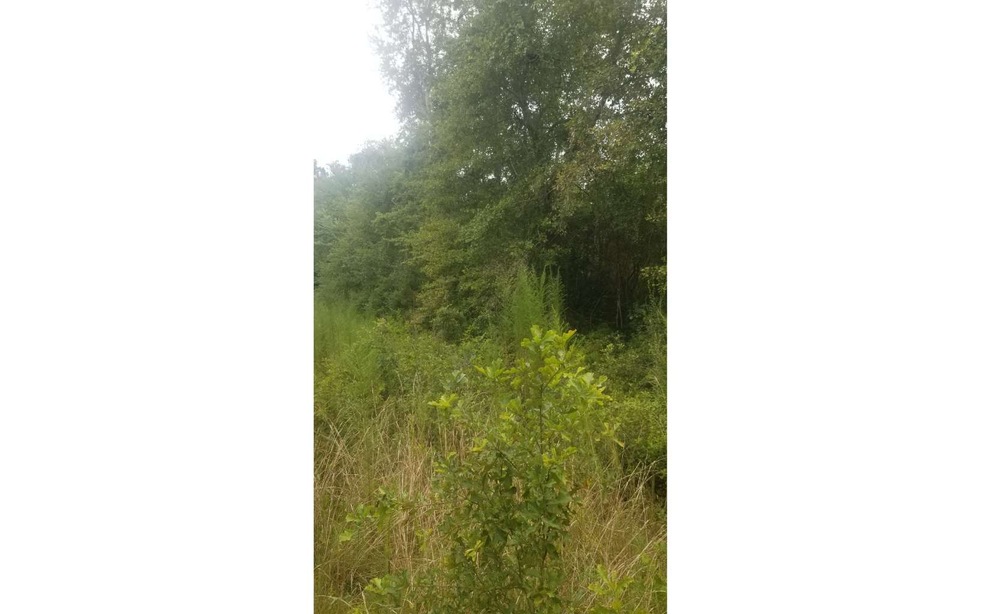 0 Turner Ave NW unit 116472, Lake City, FL 32055 - photo 1