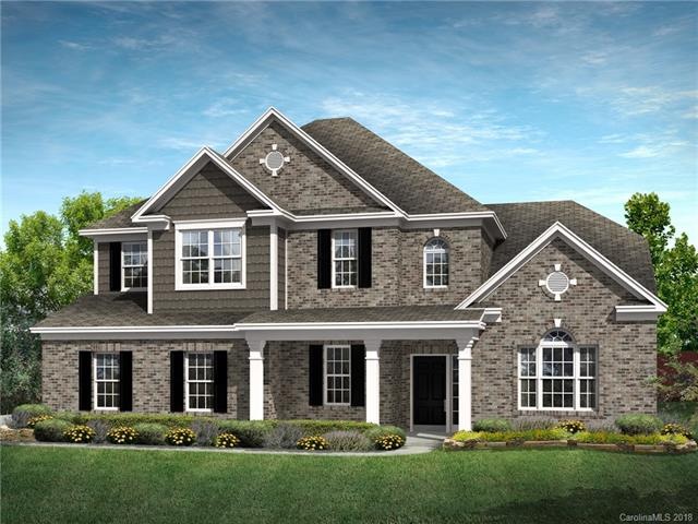Elevation rendering only