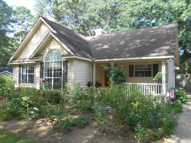 Main View